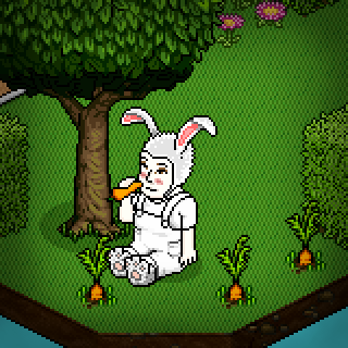 Photo by p1ASLI1q