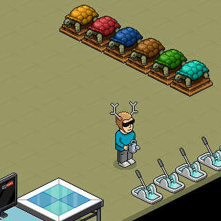 Photo by Kang