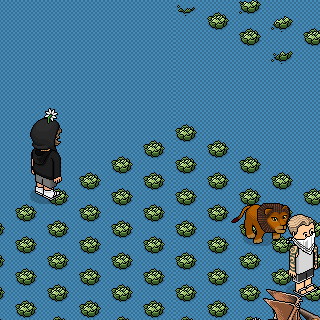 Photo by Ybr