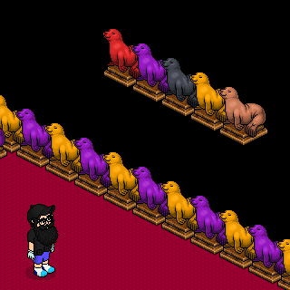 Photo by x--ray