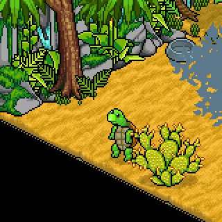 Photo by !Ihazar