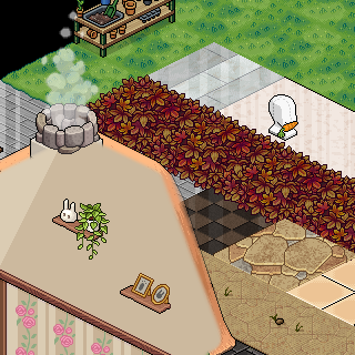 Photo by -Zeynel-