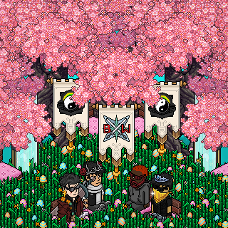 Photo by jinwo