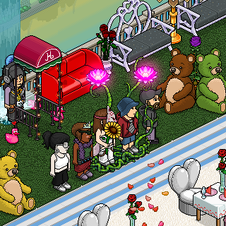 Photo by gamzik