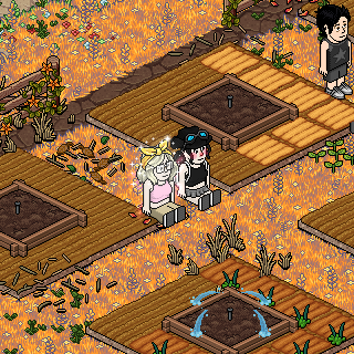 yyooyyooyy — Habbo fotoğrafı