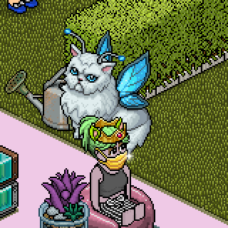 Photo by Vinny!