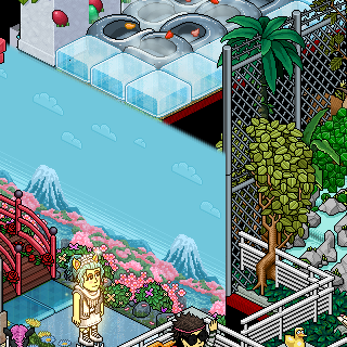 Photo by winning4duck11