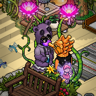 Photo by Oxie