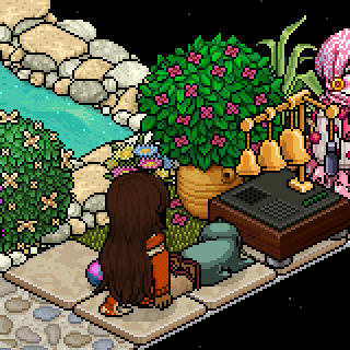 Photo by bouji