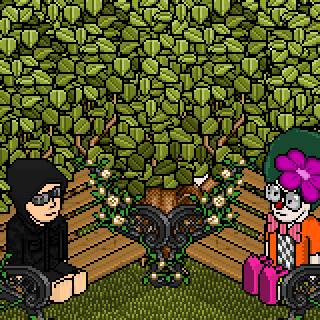 Photo by TheHabboClown