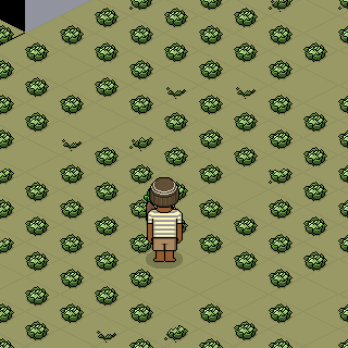 Photo by NBL
