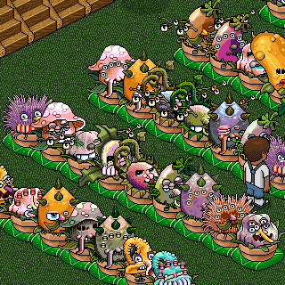 Photo by amro