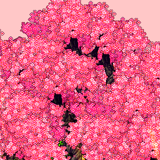 Photo by strawberrykiwi.