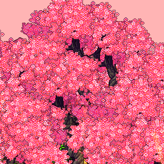 Photo by strawberrykiwi.