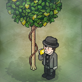 Photo by Xemnas