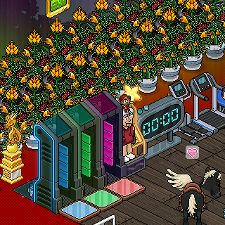 Photo by QT