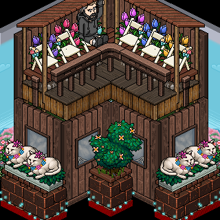 Photo by ,,=