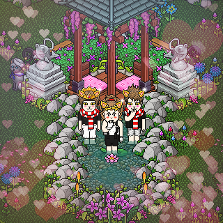 Photo by ily-x