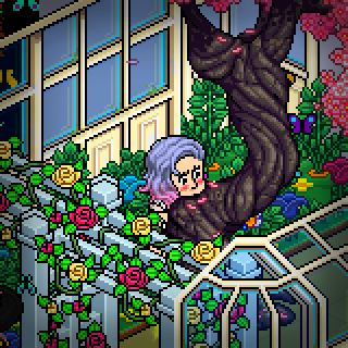 Photo by ily-x