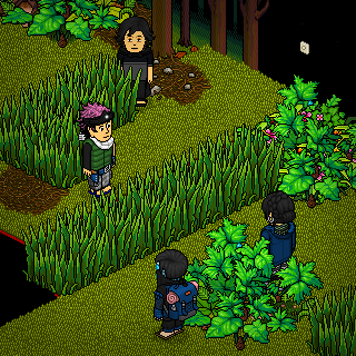 Photo by WingDragonHabbo