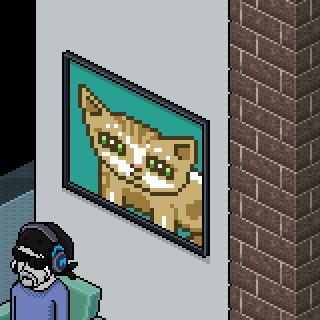 Photo by DOGSNIFF