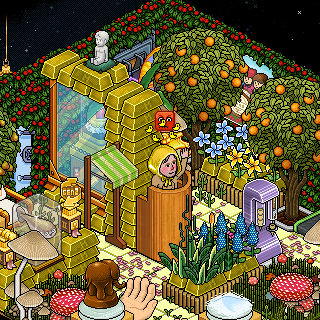 Photo by DOGSNIFF