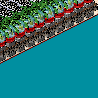 Photo by Nuus