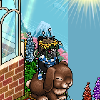 Photo by Ornament