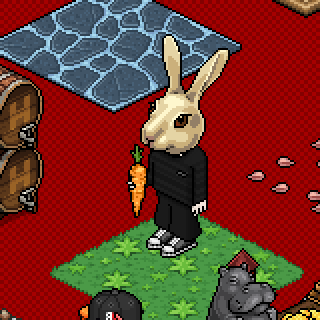 Photo by Dolla