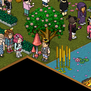 Photo by Opacity