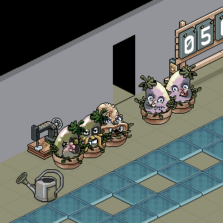Photo by Djur
