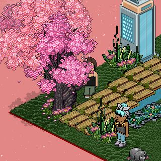 Photo by Celerys