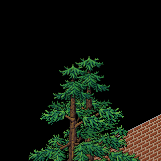 Photo by Kelpie