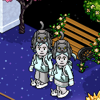 Photo by ,Megapetal