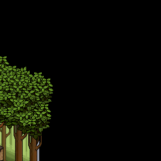 Photo by Bey.