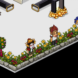 Photo by Hedgehogbull,