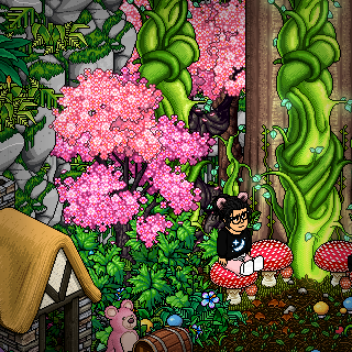 Photo by Dolig
