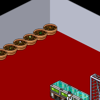 Photo by TylerM.