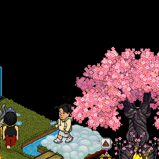 Photo by Aerie