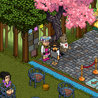 Photo by Aerie