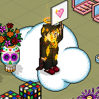 Photo by MET999