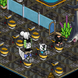 Photo by Rexy.