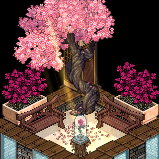 Photo by Poca7ontas
