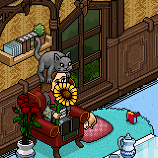 Photo by BomchaTheHabbo