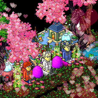 Photo by Player