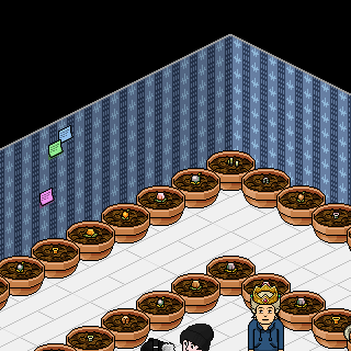 Photo by 1mic