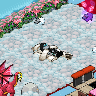 Photo by Lampoin