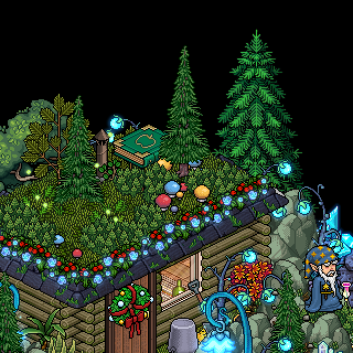 Photo by Oivind