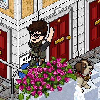 Photo by ItzNewt