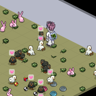 Photo by berry.